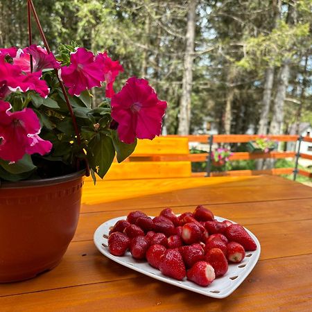 Holiday Home ,,Lazar" Žabljak Esterno foto