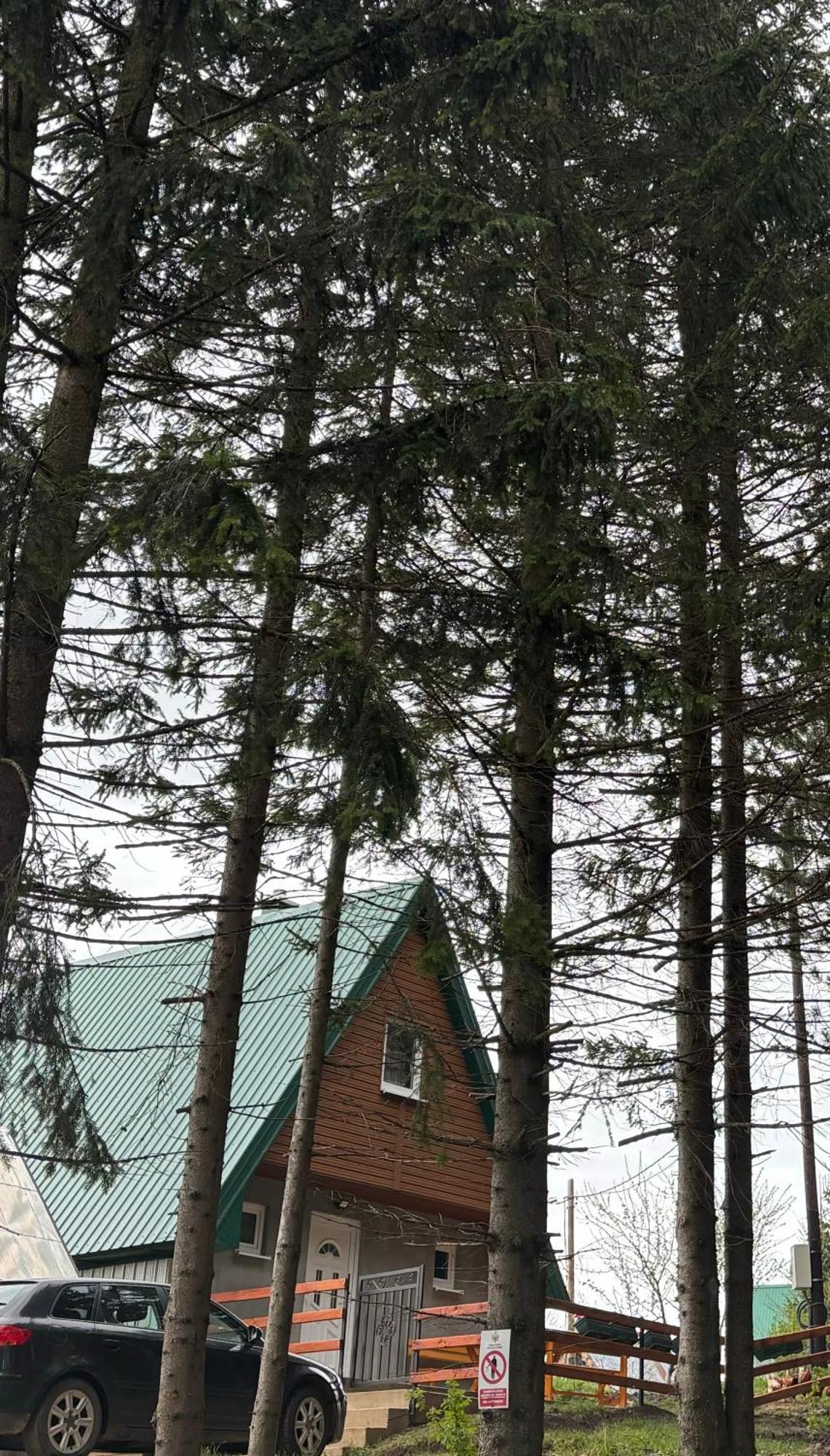Holiday Home ,,Lazar" Žabljak Esterno foto