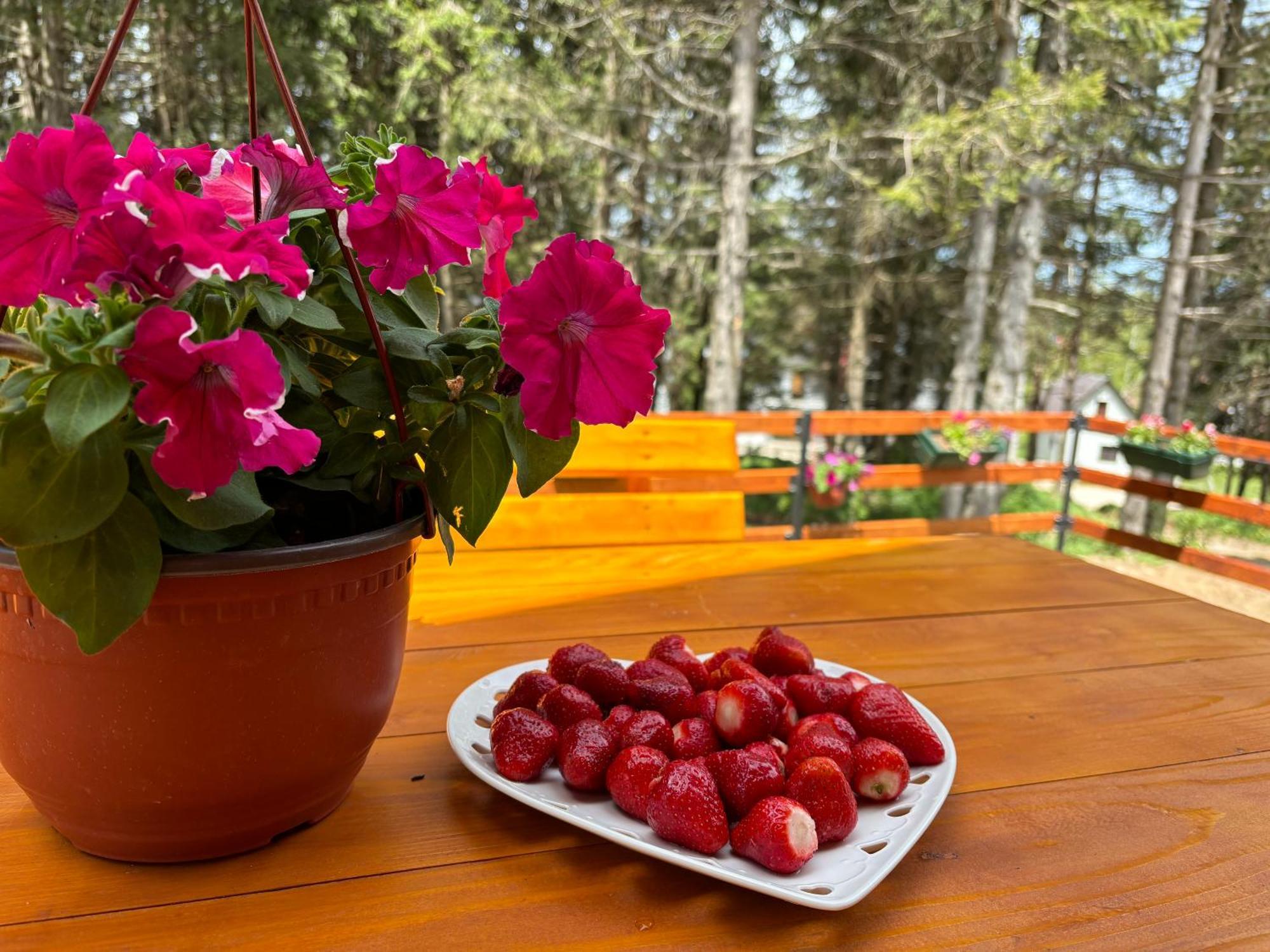 Holiday Home ,,Lazar" Žabljak Esterno foto