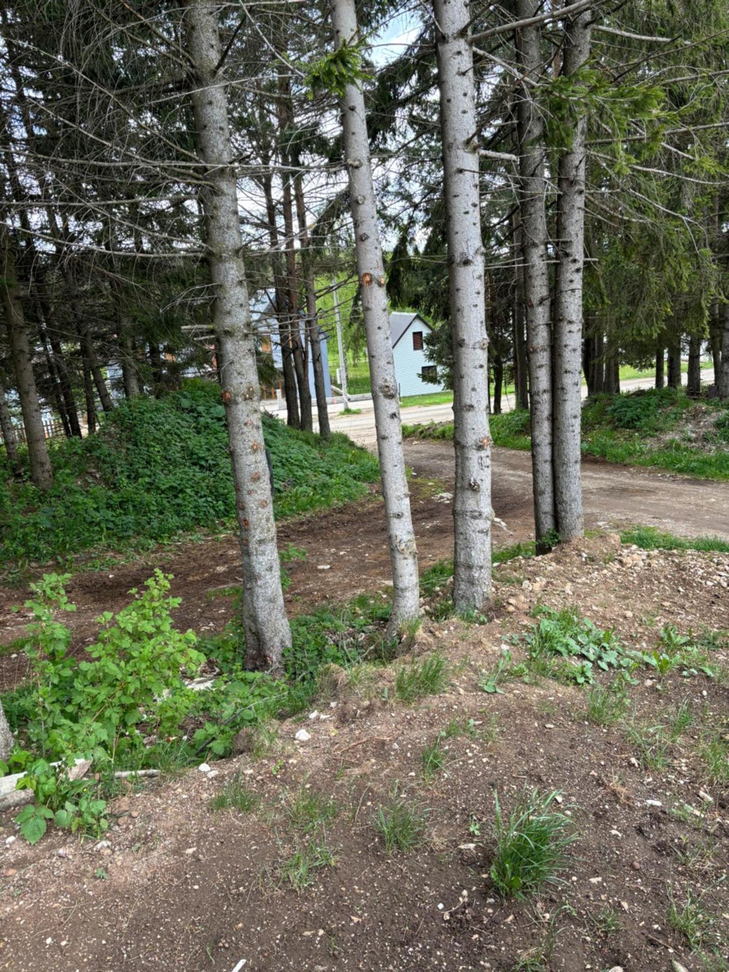 Holiday Home ,,Lazar" Žabljak Esterno foto